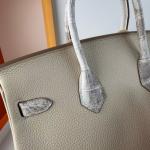 Hermes Birkin Bag togo Leather Nile Crocodile Cream